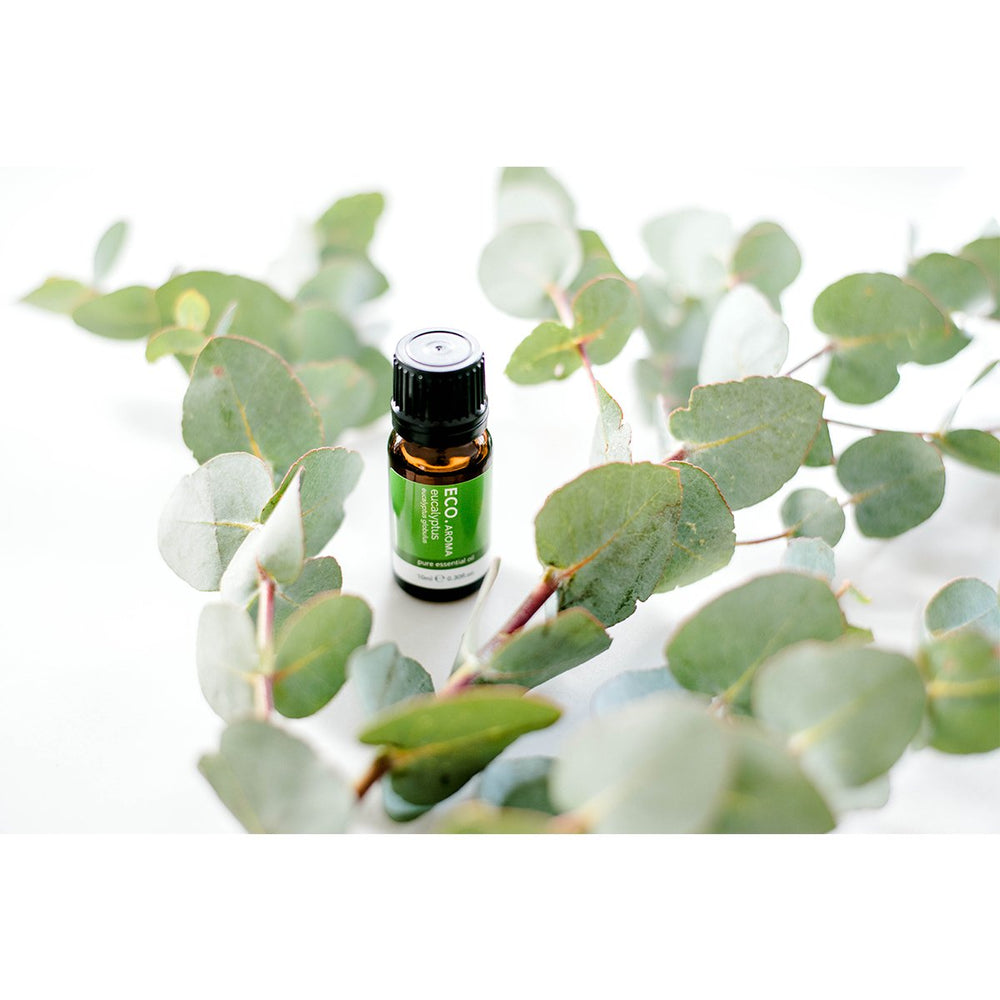 Eco Aroma Essential Oil - Eucalyptus (10ml)