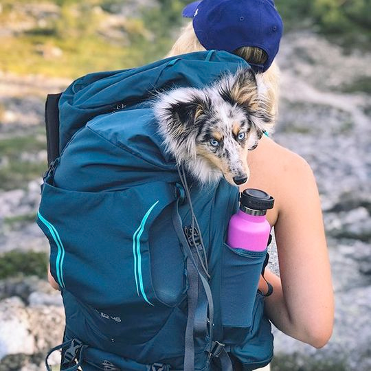 Hydro Flask Insulated Stainless Steel Drink Bottle (621ml) - Standard Mouth Pacific