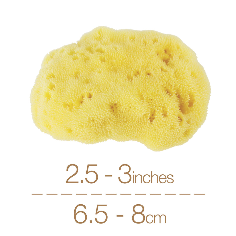 NATURAL INTIMACY Menstrual Sea Sponges - Bleached Large (2 Pack)