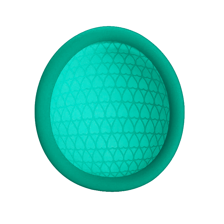 Ovolo Menstrual Disc Duo - Double Pack