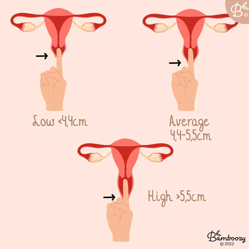 BAMBOOZY Menstrual Disc - Medium
