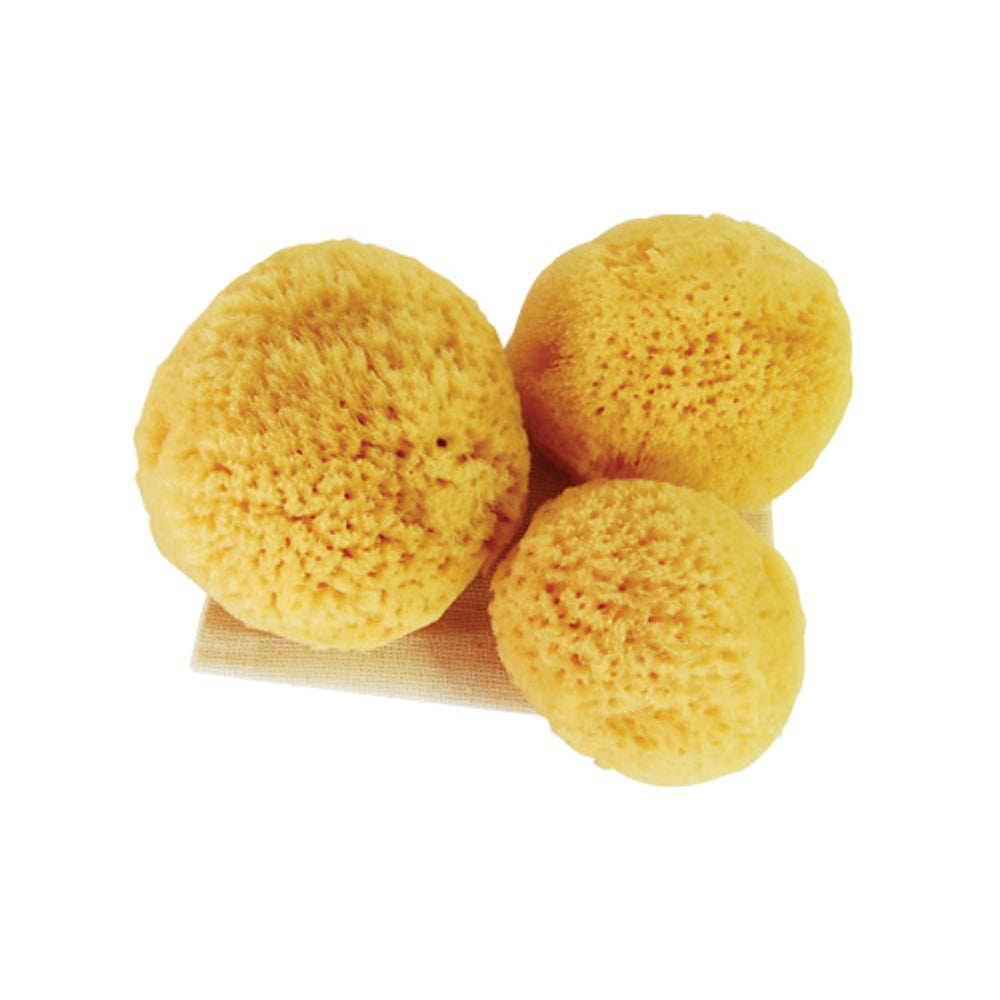 Jade & Pearl Reusable Sea Pearl Classic Menstrual Sponge - Multi Size (3 Pack)
